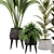 Green Oasis Indoor Plant Set 3D model small image 2