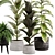 Green Oasis Indoor Plant Set 3D model small image 3