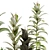 Green Oasis Indoor Plant Set 3D model small image 5