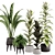 Green Oasis Indoor Plant Set 3D model small image 8