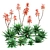2013 Aloe Brevifolia: Unique Short Leaf Succulent 3D model small image 1