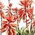 Aloe Brevifolia: Premium Short Leaf Succulent 3D model small image 5