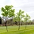 3m Young Oak Trees - Set of 3 3D model small image 2