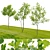 3m Young Oak Trees - Set of 3 3D model small image 4