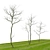 3m Young Oak Trees - Set of 3 3D model small image 5