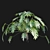 Philodendron Xanadu Plant 3D Models 3D model small image 4