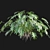 Philodendron Xanadu Plant 3D Models 3D model small image 5