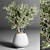 Indoor Plant Collection: 24 Exquisite Varieties 3D model small image 3