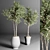 Indoor Plant Collection: 24 Exquisite Varieties 3D model small image 4