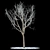 Snow-Covered Rowan Tree 3D model small image 1