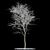 Snow-Covered Rowan Tree 3D model small image 1