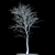 Snow-Covered Rowan Tree 3D model small image 2