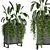 Indoor Plants Collection - Set 193: 3D Max, V-Ray/Corona Render 3D model small image 1