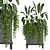 Indoor Plants Collection - Set 193: 3D Max, V-Ray/Corona Render 3D model small image 2
