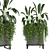 Indoor Plants Collection - Set 193: 3D Max, V-Ray/Corona Render 3D model small image 3