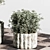 Sleek Plant Stand for Indoor Greenery 3D model small image 5