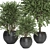 Lush Indoor Plants Collection - Set 194 3D model small image 4