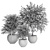 Lush Indoor Plants Collection - Set 194 3D model small image 5