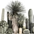 Tropical Plant Collection: Exotic & Decorative Greenery in Concrete Pots 3D model small image 3