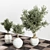 Versatile Indoor Plant Stand 3D model small image 3