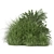 Outdoor Bush Plants Set 197 | 3dsMax + Vray/Corona 3D model small image 4
