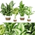 Premium Aglaonema Indoor Plant: Collection Vol. 298 3D model small image 1