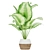 Premium Aglaonema Indoor Plant: Collection Vol. 298 3D model small image 3