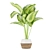 Premium Aglaonema Indoor Plant: Collection Vol. 298 3D model small image 5