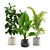 Exotic Indoor Plants Collection 3D model small image 1