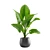 Exotic Indoor Plants Collection 3D model small image 2