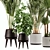 Green Oasis Indoor Plant Set 3D model small image 2