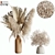 Pampas Set 04: High-Quality 3D Rendering for VRay and Corona. 3D model small image 1