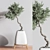 Green Haven Indoor Plant Set 3D model small image 5