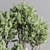 Lush Indoor Plant Set 74 3D model small image 6