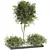 Premium Plant Collection 3D model small image 1