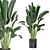 Indoor Plants Collection - Set 198: 3D Model Bundle 3D model small image 1