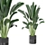 Indoor Plants Collection - Set 198: 3D Model Bundle 3D model small image 2