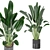 Indoor Plants Collection - Set 198: 3D Model Bundle 3D model small image 3