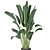 Indoor Plants Collection - Set 198: 3D Model Bundle 3D model small image 4