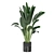 Indoor Plants Collection - Set 198: 3D Model Bundle 3D model small image 6