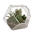 Succulent Paradise: Florarium with Stunning Live Greens 3D model small image 1