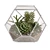 Succulent Paradise: Florarium with Stunning Live Greens 3D model small image 2