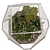 Succulent Paradise: Florarium with Stunning Live Greens 3D model small image 3