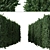 Cherry Laurel Trio: Prunus Carolina (3 Trees) 3D model small image 5