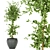 Ficus Leaf - Indoor Plant Collection Vol 299 3D model small image 4