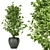 Ficus Leaf - Indoor Plant Collection Vol 299 3D model small image 6