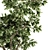 Elegant Green Branch Bouquet: Black & Gold 3D model small image 4