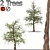 Pair of Majestic Dawn Redwoods 3D model small image 1