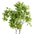 Real-Tree Acer & Ghost Gum: High-Quality 3D Models 3D model small image 6