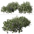 Beautiful Vinca Major Plant Set (3 Plants) 3D model small image 3